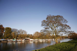 Man with a van Kingston upon Thames removals